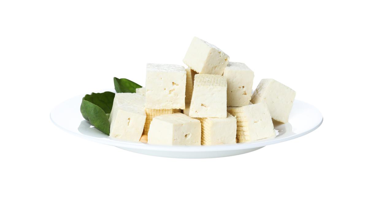 062007600_1758001223-pngcubes-tofu-bowl-with-leaves-isolated-white-background.jpg