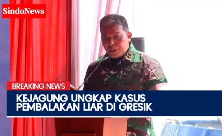 satgas-pkh-ungkap-modus-pembalakan-liar-di-hutan-sipora-mentawai-puc.jpg