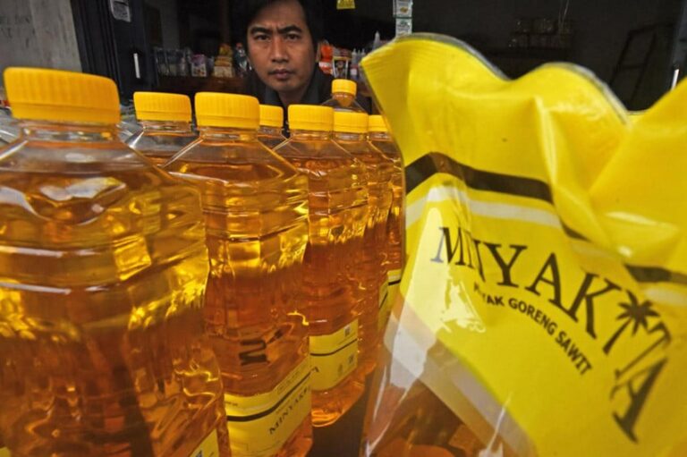 harga-minyakita-tembus-rp16000-per-liter-di-atas-het-apa-sebabnya-mlv.jpg
